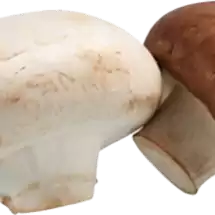 Sjampinjong